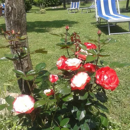Farmhouse Antico Borgo
